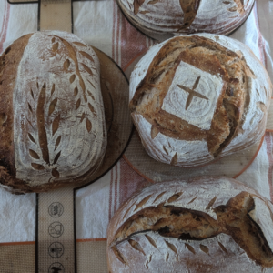Cranberry Walnut Loaf