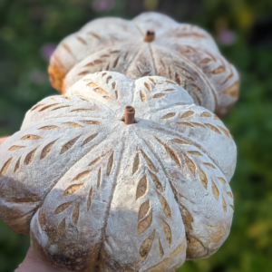 Seasonal Pumpkin Loaf